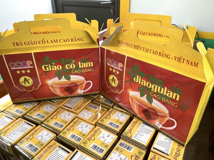 Trà Giảo cổ lam hộp lớn