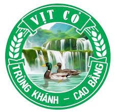 Vịt cỏ Trùng Khánh