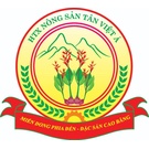 Hợp tác xã Tân Việt Á 