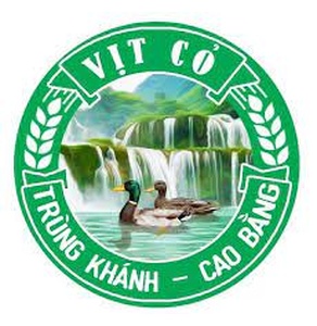 Vịt cỏ Trùng Khánh