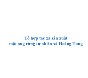 Tổ hợp tác xã sản xuất mật ong rừng tự nhiên xã Hoàng Tung