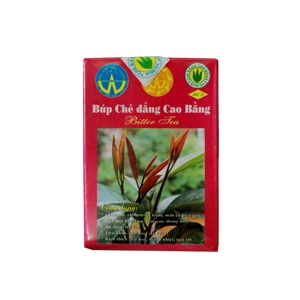 Búp chè đắng Cao Bằng