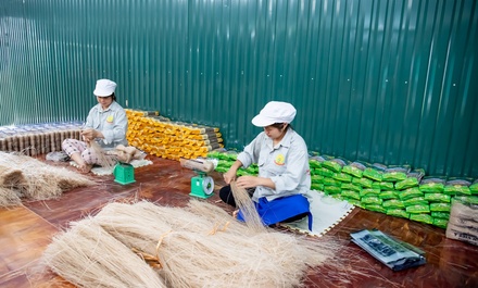 Miến dong Tân Việt Á 1kg túi vàng