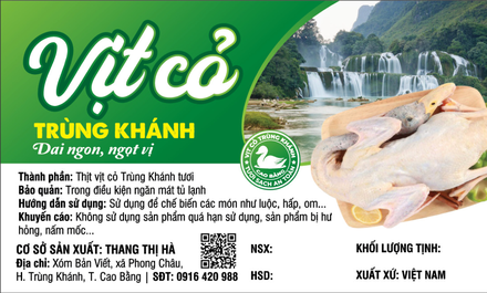 Vịt cỏ Trùng Khánh