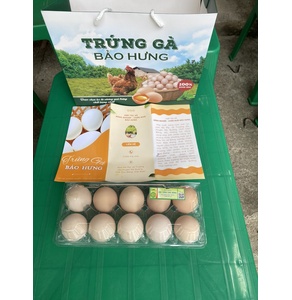 Trứng Gà Bảo Hưng