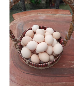 Trứng Gà Bảo Hưng