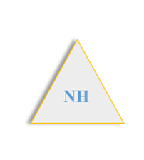 CÔNG TY TRÁCH NHIỆM HỮU HẠN NGA HẢI			