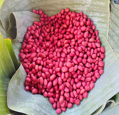 Lạc Đỏ núi đá Hoàng Gia