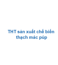 THT sản xuất chế biến thạch mác púp 
