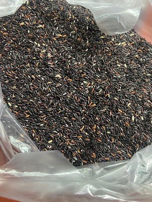 Bột mầm gạo lứt yến mạch Lãnh Dung