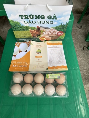Trứng Gà Bảo Hưng