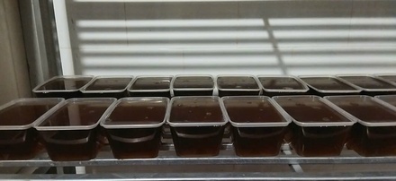 Thạch Xỏm Đeng Phương Anh