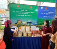 Sở Công Thương Cao Bằng tham dự Lễ khai mạc chương trình “Thúc đẩy phát triển Thương mại điện tử khu vực phía Bắc" tại Tỉnh Thái Nguyên.