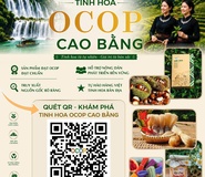 ĐẨY MẠNH QUẢNG BÁ VÀ TIÊU THỤ SẢN PHẨM OCOP CAO BẰNG QUA MÃ QR CODE DỰ ÁN SỐ