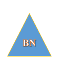 CÔNG TY THƯƠNG MẠI BÌNH NGUYÊN			