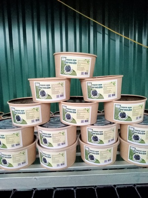 Thạch đen Thu Ngân