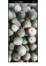 Hạt mác púp Cai Bộ
