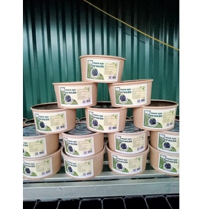 Thạch đen Thu Ngân