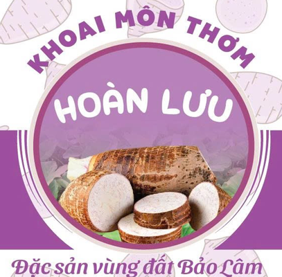 Khoai môn thơm Hoàn Lưu