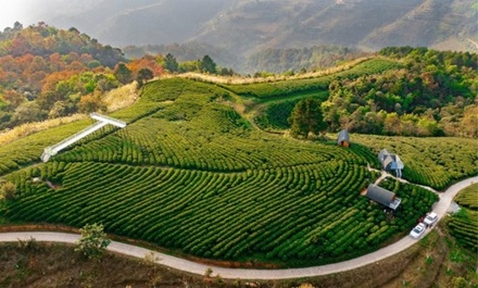 Lê Kolia Phia Đén