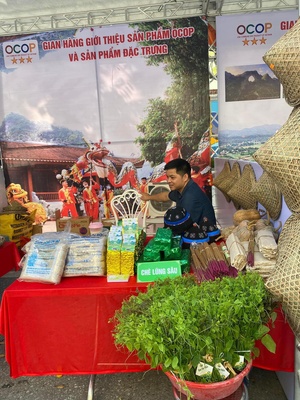 Rau dạ hiến Quốc Toản (OCOP 3 sao)