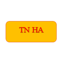 CÔNG TY TNHH MỘT THÀNH VIÊN GẠCH TUY NEN HÒA AN			