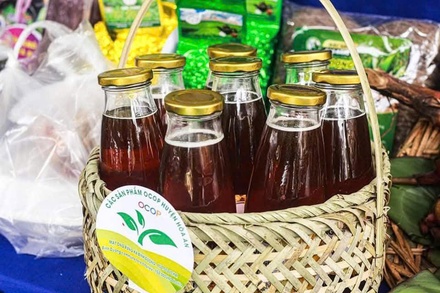 Mật ong hoa tự nhiên Bình Dương