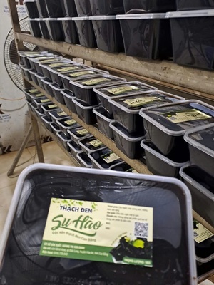 Thạch đen Su Hào