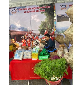 Rau dạ hiến Quốc Toản (OCOP 3 sao)