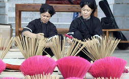 Hương Phja thắp Hoàng Bày (OCOP 4 sao)