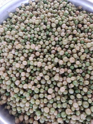 Mác Mật khô Ngọc Động