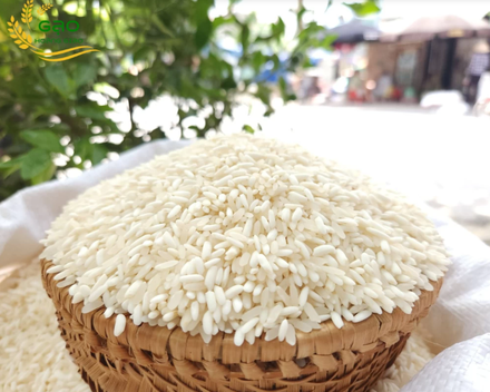 Gạo Nếp Pì Pất