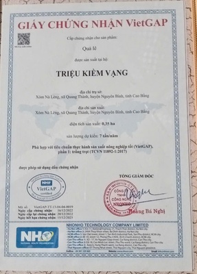 Lê xanh Triệu Kiềm Vạng (OCOP 3 sao)