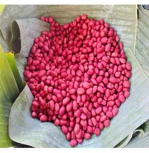 Lạc Đỏ núi đá Hoàng Gia