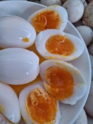 Trứng vịt Chu Trinh
