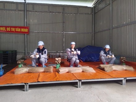 Miến dong Cai Bộ