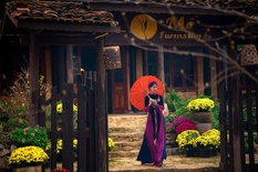 Mế Famsaty