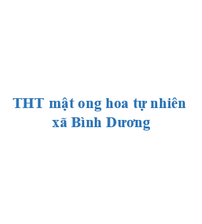 THT mật ong hoa tự nhiên xã Bình Dương