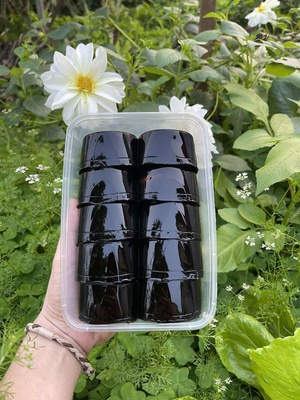 Thạch đen Su Hào