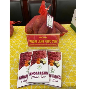 Khoai lang Phúc Sen