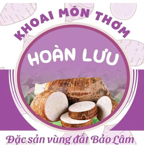 Khoai môn thơm Hoàn Lưu