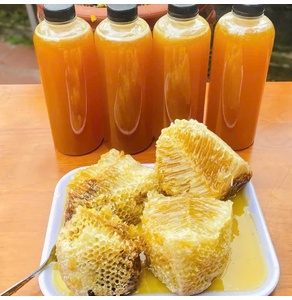 Mật ong rừng Vĩnh Quang (OCOP 3 sao)