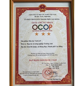 Dâu tây VietGAP (OCOP 3 sao)