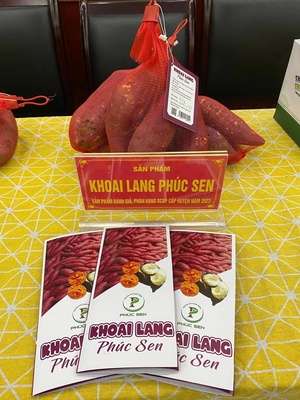 Khoai lang Phúc Sen