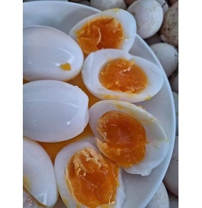Trứng vịt Chu Trinh
