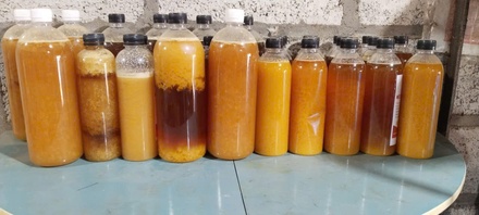 Mật ong Lục Chiến