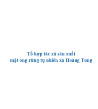 Tổ hợp tác xã sản xuất mật ong rừng tự nhiên xã Hoàng Tung