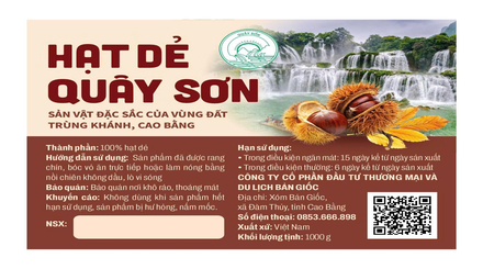 Hạt dẻ Quây Sơn (OCOP 3 sao)