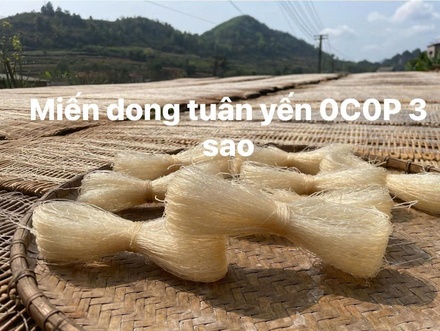 Miến dong Tuân Yến