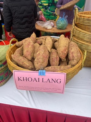 Khoai lang Phúc Sen